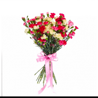 Bukiet kolorowych Goździków 