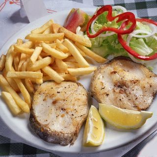 Plato Nº5