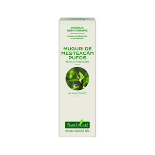 Extract concentrat din muguri de mesteacan pufos 15 ml (BETULA PUB)