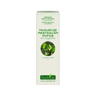 Extract concentrat din muguri de mesteacan pufos 15 ml (BETULA PUB)