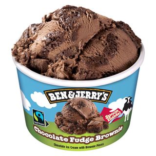 Ben & Jerry's Chocolate Fudge Brownie