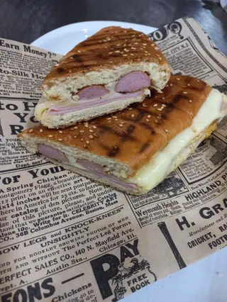 Cachorro Misto