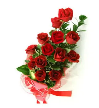 Mazzo 12 rose 