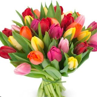 Ramo de 10 tulipanes