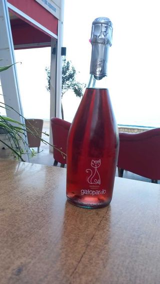 Lambrusco "Gattopardo" Rosado 