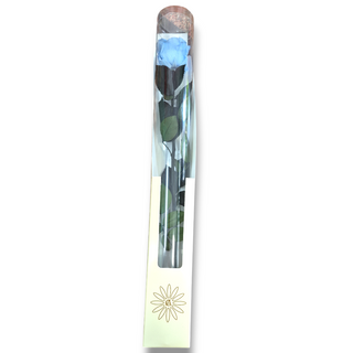Rosa azul celeste 