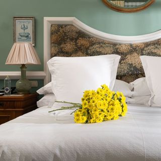 Ramo de 5 Margaritas  amarillas 