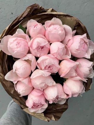 პიონი კრაფტში