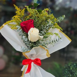 Rosa do Equador docen