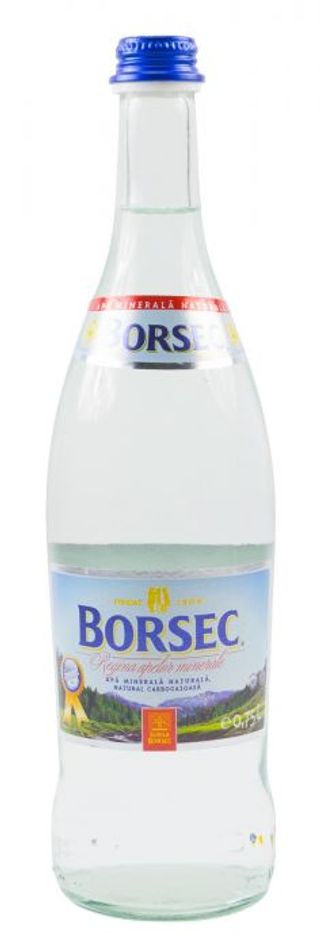 6 X Borsec Apa Minerala 0.75l