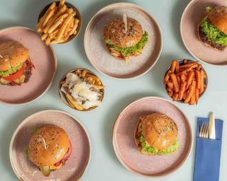 Menú 6 Hamburguesas De Pollo