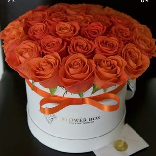 Boxe fleurs orange 