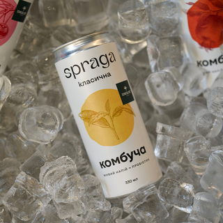 Комбуча класична (330мл)