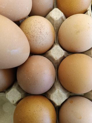 Uova confezione da 4