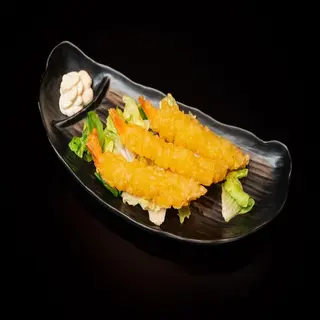 T9-Ebi Furay (4 Pzs.)