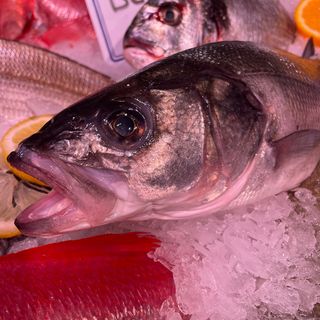 Lubina salvaje (600-800)