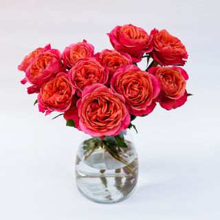  Róze 15 szt kształt piwonii