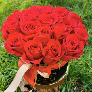 Cutie 21 trandafiri rosii