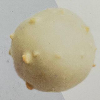 ДОРБЛЮ-ГРУША