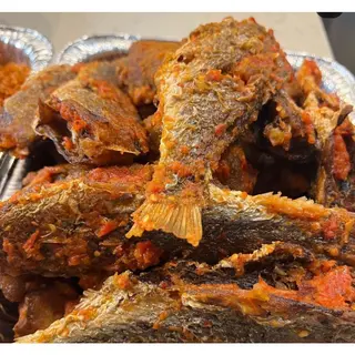 Croaker fish