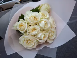 თეთრი ვარდი