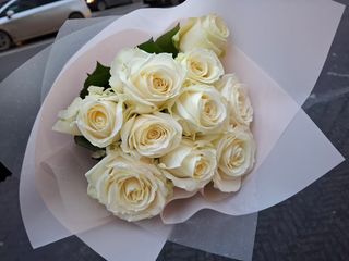 თეთრი ვარდი