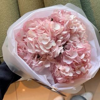 3 рожеві гортензії "Колумбія"