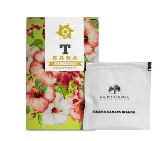Infusiones Jengibre