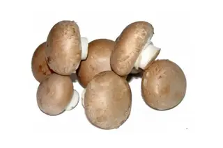 Champiñón Portobello (1 Kg.)
