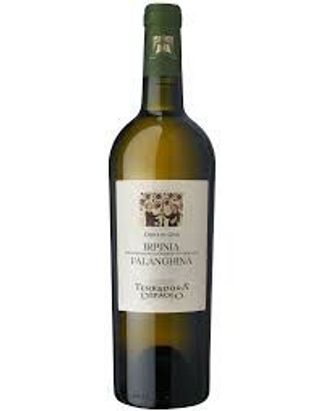 Vino bianco Falanghina