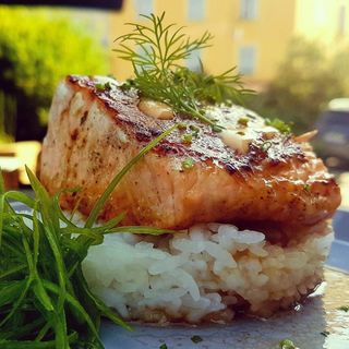 Salmon al Mango