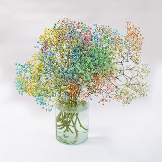  Kolorowa gipsówka S( mały)