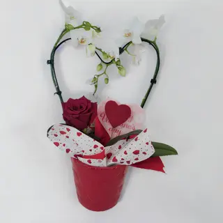 Vaso Orquídeas