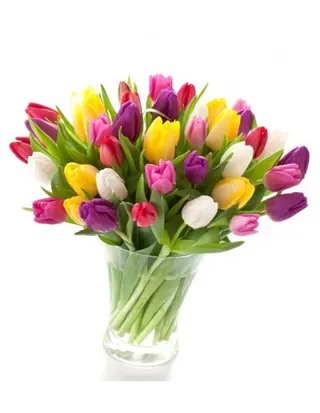 Bouquet tulipani mixto