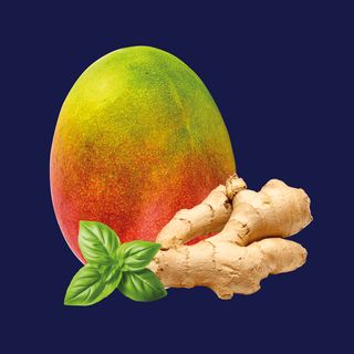 Tarrina 500G Curry Verde De Mango