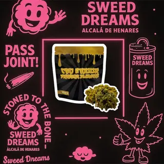 NUEVO ! 5 GR og haze mini flores Hydro Indoor