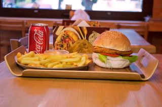 Mr Gastro chicken burger