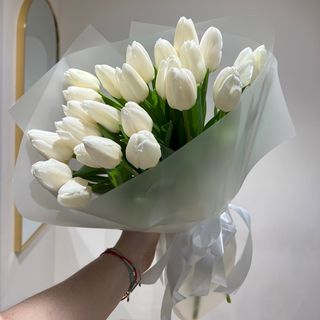 21 білий тюльпан