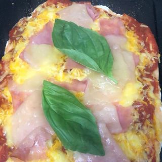 Pinsa individual Puppy 