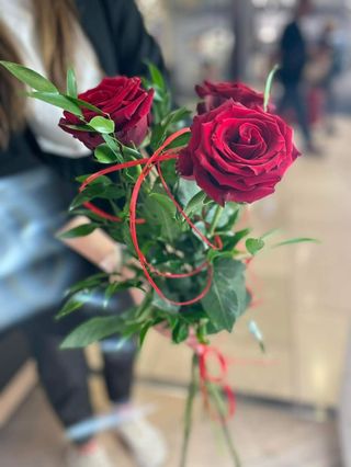 3szt - czerwona róża, długa