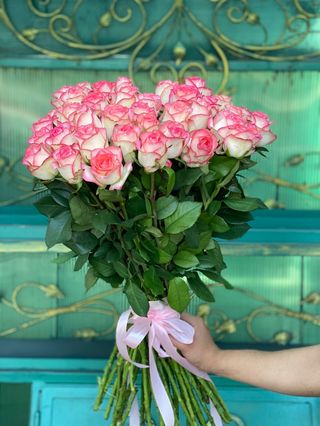 Ջումիլիա (01)