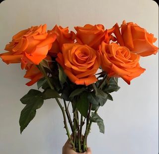 Błękit z 7 róż pomarańczowych 