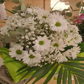 Bouquet De Margaritas Blancas