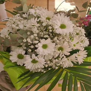 Bouquet De Margaritas Blancas