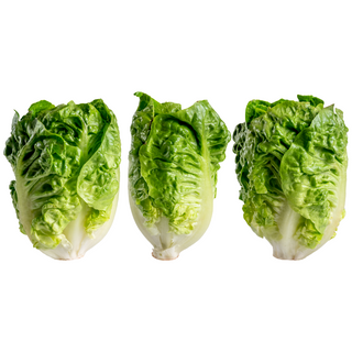 Cogollos De Tudela bandeja 3ud