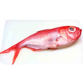 Palometa Roja Limpio Entero 1 Ud.