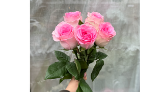 Sweet Elegance 5 różowych róż