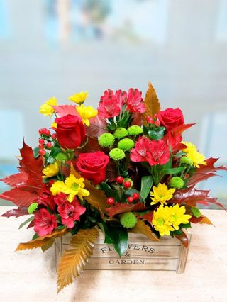 Caja De Ramos PrimaveraleS