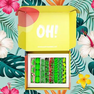 Happy Box  Happy Jungle