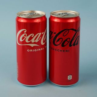 Coca-Cola Lattina 330 ml